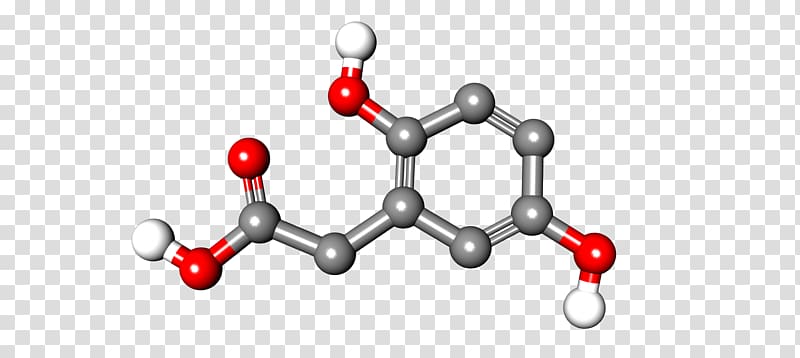 Homogentisic acid Chinese Wikipedia Encyclopedia, Malonic Ester Synthesis transparent background PNG clipart