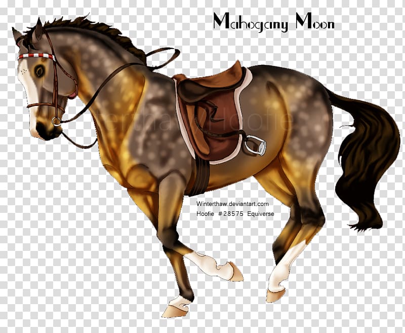 Mane Mustang Rein Stallion Western riding, Owl moon transparent background PNG clipart