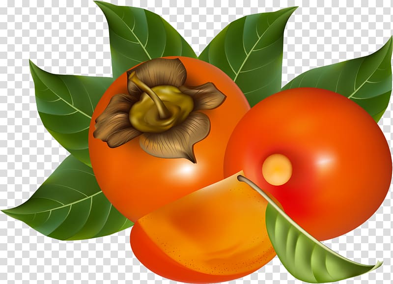 Japanese Persimmon Fruit salad Food, persimmon transparent background PNG clipart