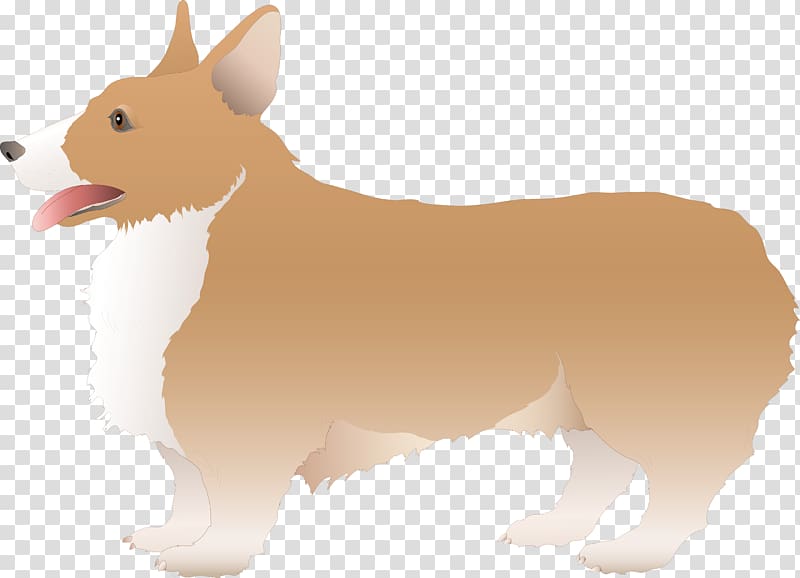 Pembroke Welsh Corgi Canidae Puppy Dog breed Snout, dog and cat transparent background PNG clipart
