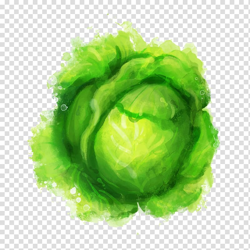 Watercolor painting Green Inkstick Illustration, green vegetables transparent background PNG clipart