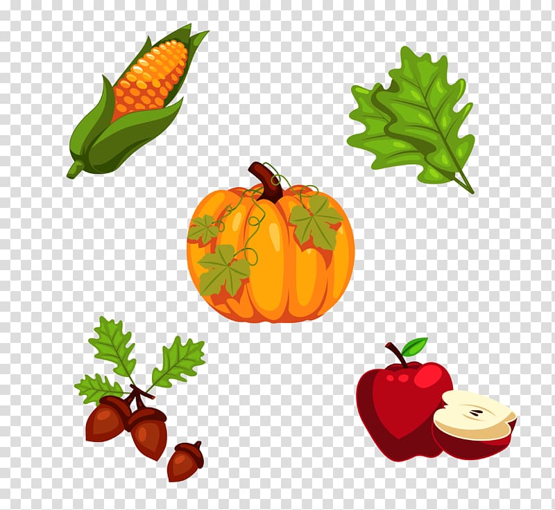 Turkey Thanksgiving Pumpkin pie, fruits and vegetables transparent background PNG clipart