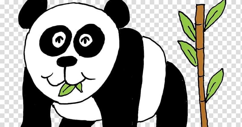 Giant panda Woman Computer file Information Bear, keine pakete transparent background PNG clipart