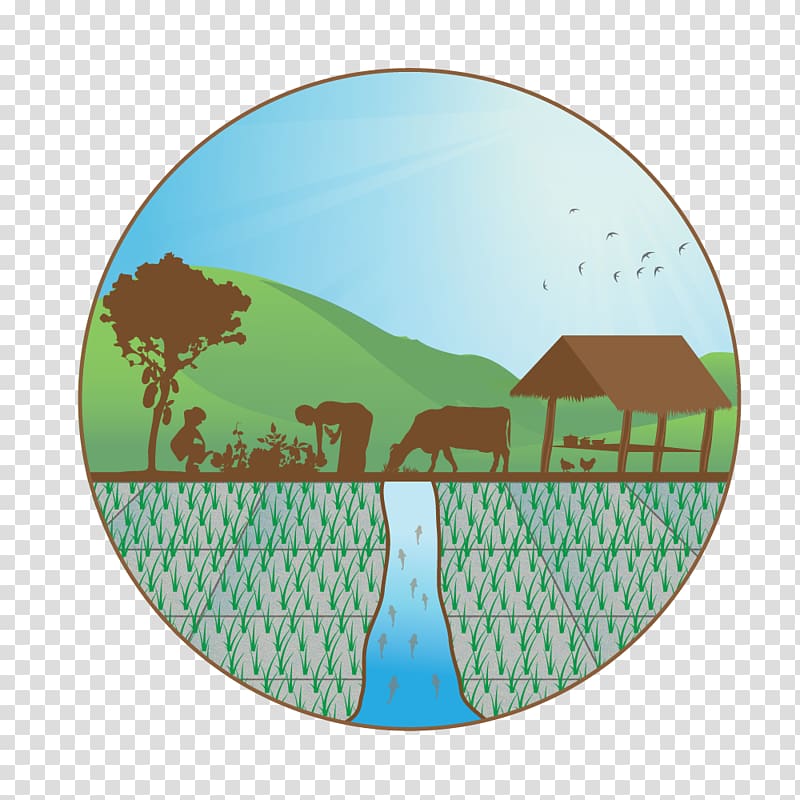 Royal University of Agriculture, Cambodia Sustainable agriculture Horticulture Research, Royal Ploughing Ceremony transparent background PNG clipart