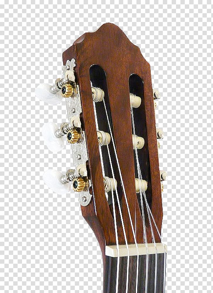 Acoustic guitar Bass guitar Cavaquinho Tiple Acoustic-electric guitar ...