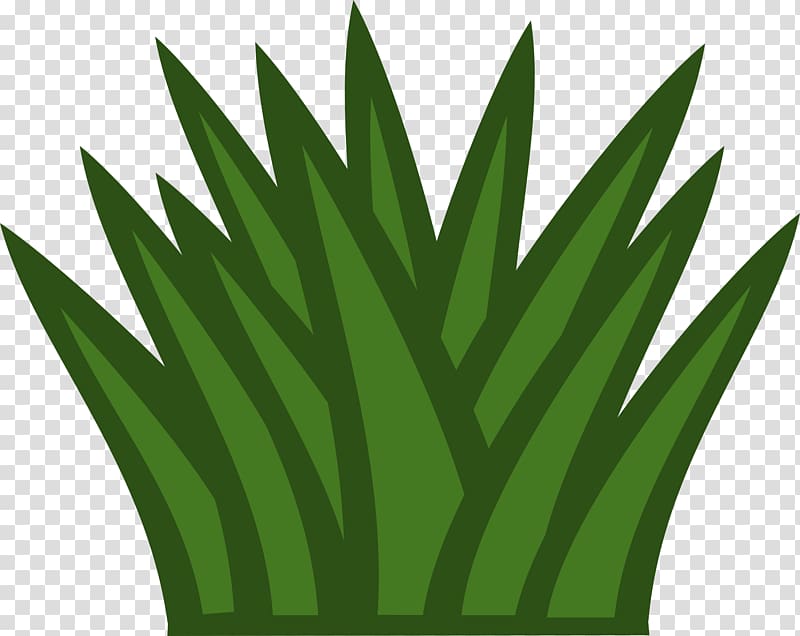 Temperate grasslands, savannas, and shrublands Computer Icons , cactus transparent background PNG clipart