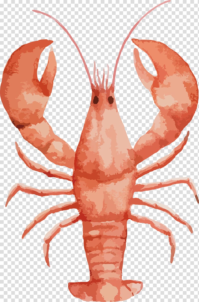 Lobster Watercolor painting Seafood Drawing, Painted large lobster transparent background PNG clipart