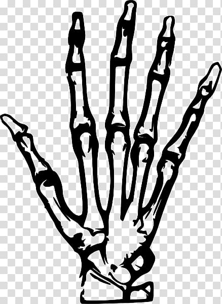 Hand X-ray , X-Rays transparent background PNG clipart