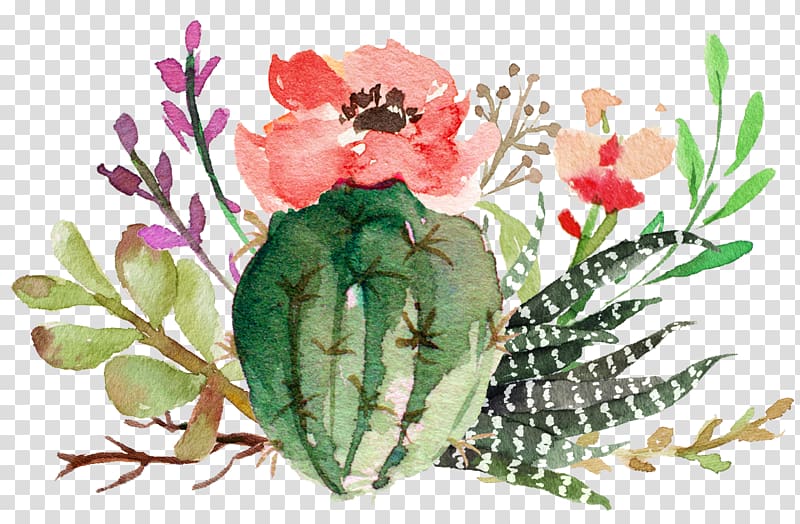 flowering cactus succulents transparent background PNG clipart