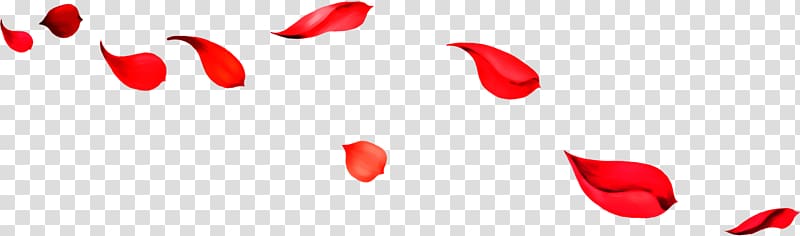 five red floral petals, Beach rose Red , Falling red rose petals transparent background PNG clipart