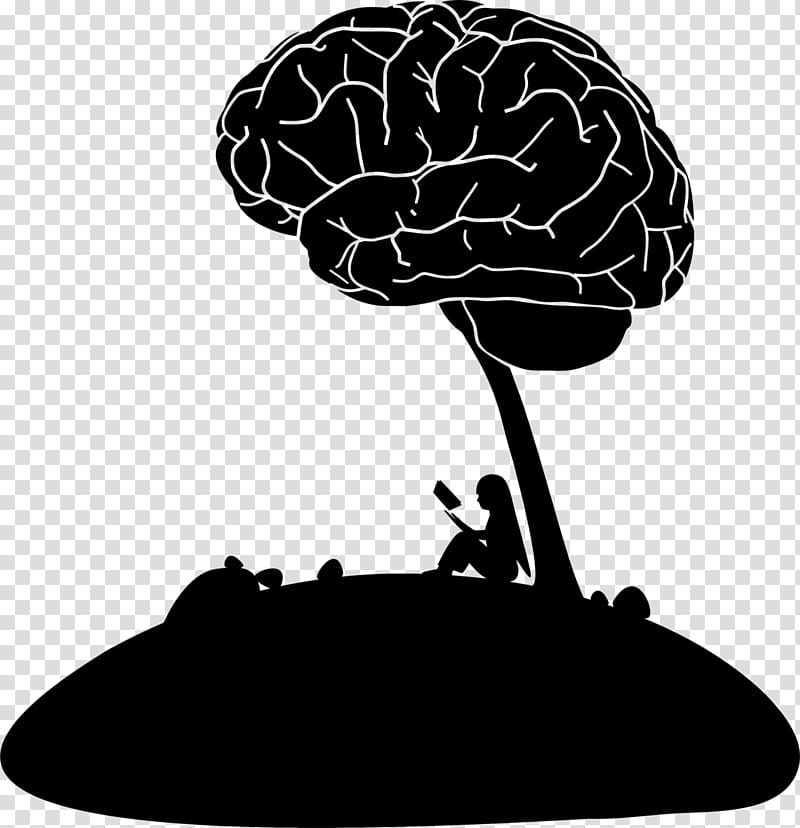 Human brain Neuroscience , Brain transparent background PNG clipart