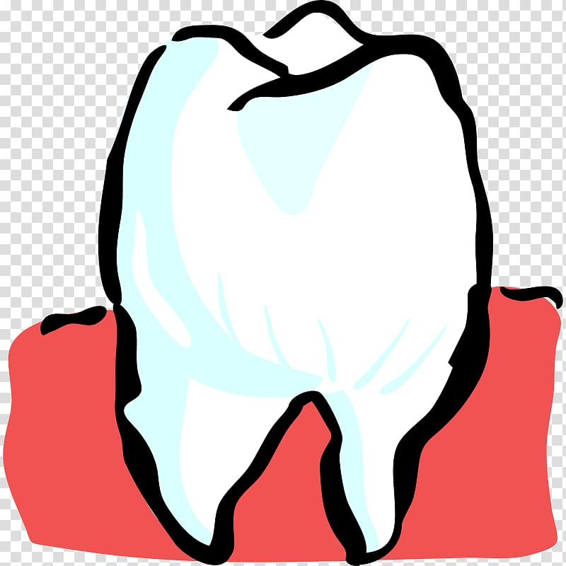 Human tooth Pediatric dentistry , tooth decay transparent background PNG clipart