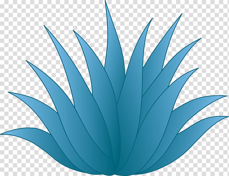 Centuryplant Tequila Drawing , Tequila transparent background PNG clipart