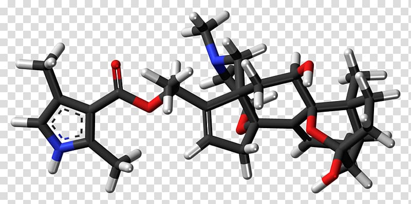 Batrachotoxin Molecule Chemical substance Frog Poison, darts transparent background PNG clipart