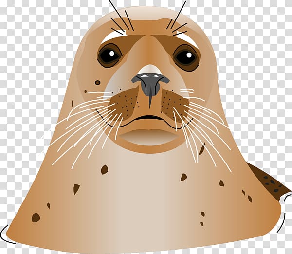 Sea lion Computer Icons , Seal transparent background PNG clipart