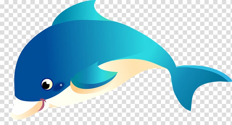 Porpoise T-shirt Dolphin , cartoondolphinhd transparent background PNG clipart