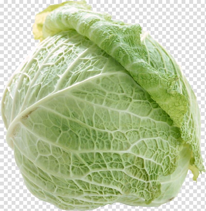 Cabbage transparent background PNG clipart