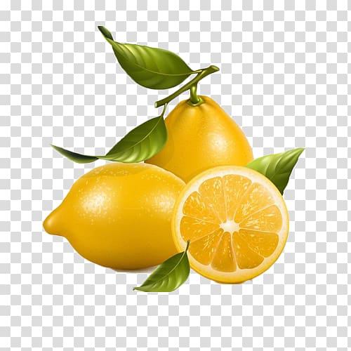 Lemonade fruit , Kumquat lemon fruit decorative elements transparent background PNG clipart