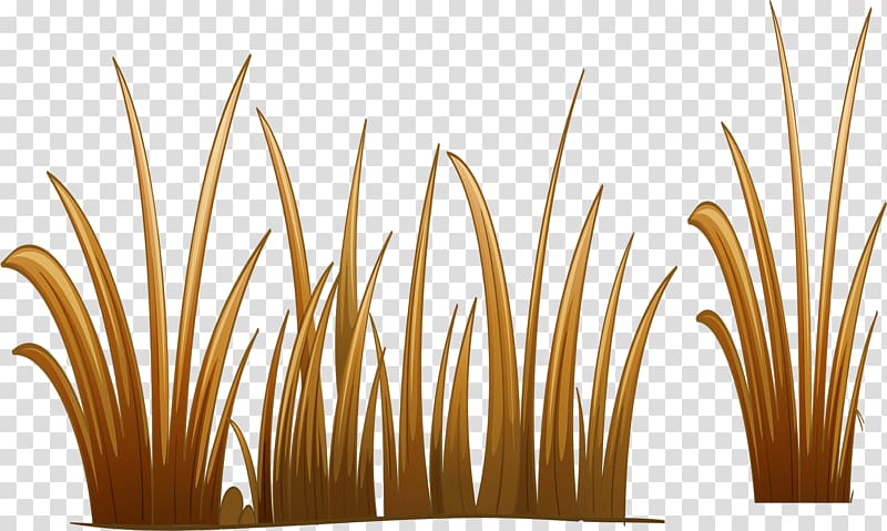 , Yellow grass transparent background PNG clipart