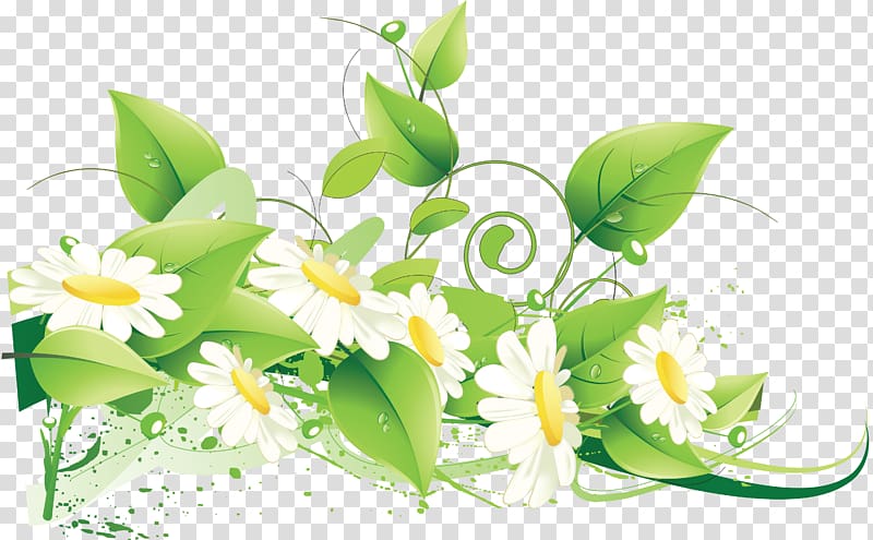 Flower Green , camomile transparent background PNG clipart