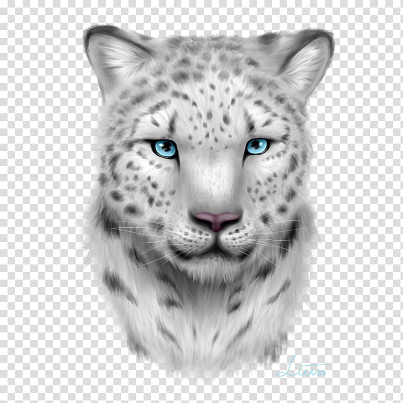 Snow leopard Whiskers Magic: The Gathering Unstable, leopard transparent background PNG clipart