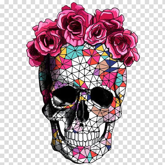 creative skull transparent background PNG clipart
