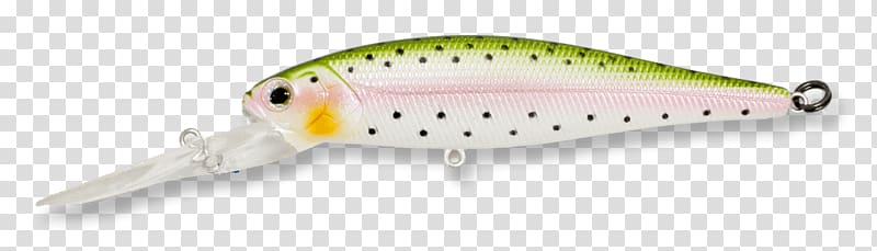 Rainbow trout Fishing Lago Strobel, fish transparent background PNG clipart