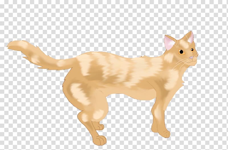 Whiskers Kitten Domestic short-haired cat Dog, kitten transparent background PNG clipart