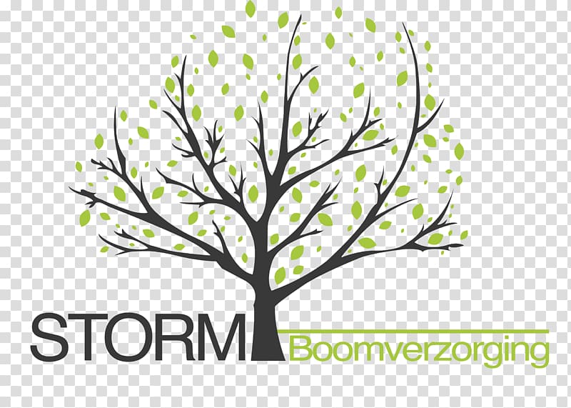 Twig Storm Boomverzorging Arboriculture Tree Branch, boom logo transparent background PNG clipart