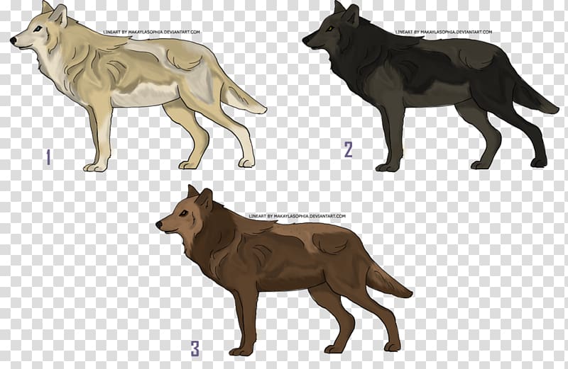 Dog Fauna Wildlife Tail Gray wolf, load shiva 3rd eye transparent background PNG clipart