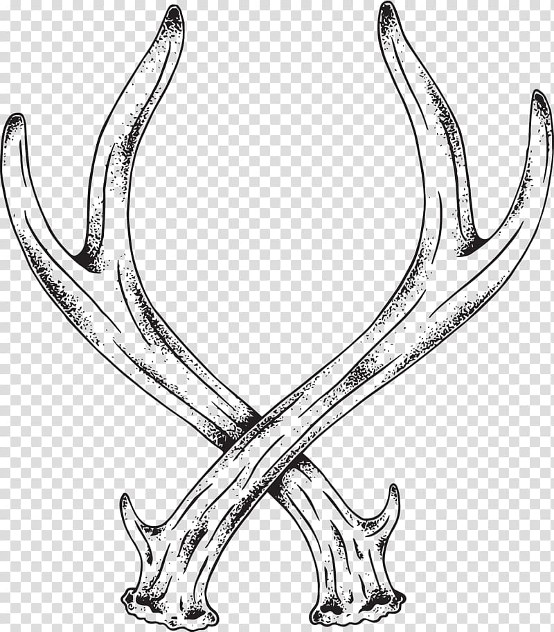 Deer Antler Horn Line art Elk, horn transparent background PNG clipart