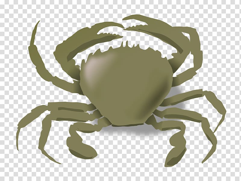 Crab Aquatic animal , Shellfish transparent background PNG clipart