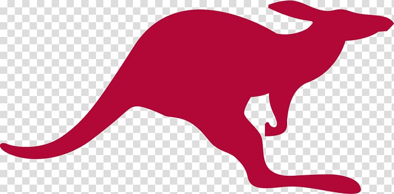 Red kangaroo Macropodidae Logo , Austin transparent background PNG clipart