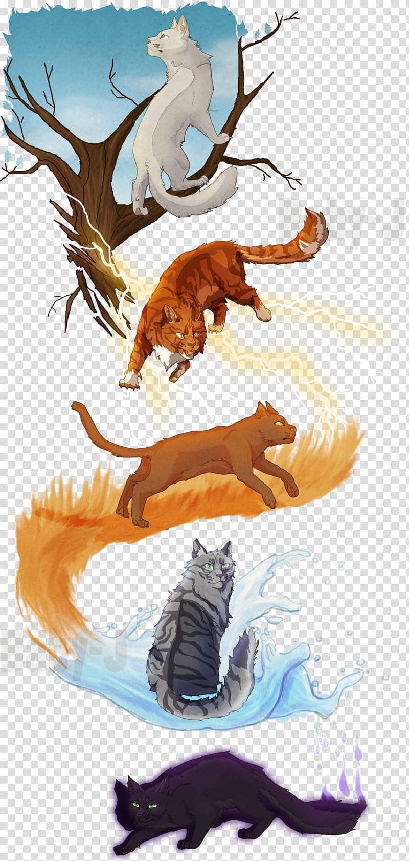 Warriors Cat Erin Hunter Kitten Shadowstar, the characteristic two lover shadow with sunlite transparent background PNG clipart