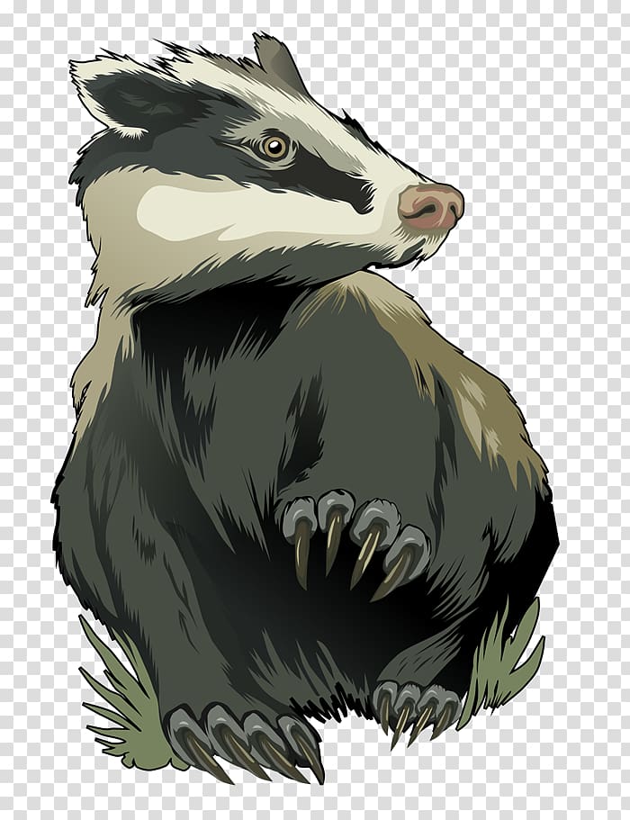 gray and white animal illustration, Badger transparent background PNG clipart