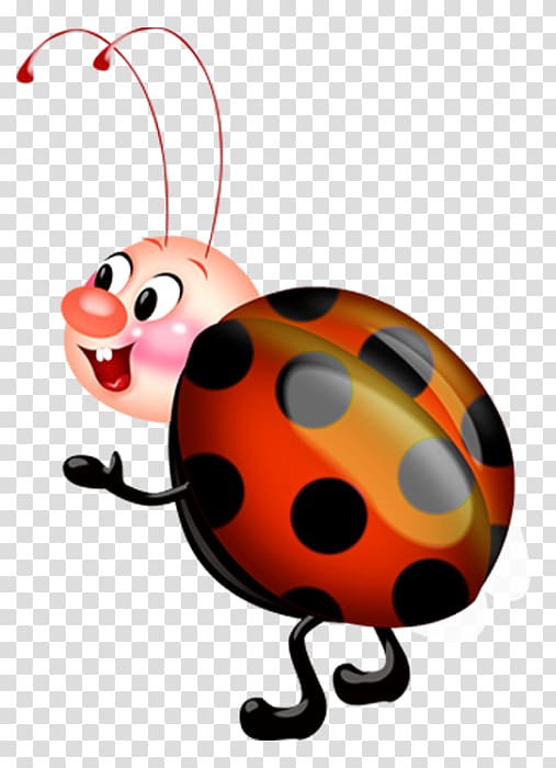 , ladybug transparent background PNG clipart