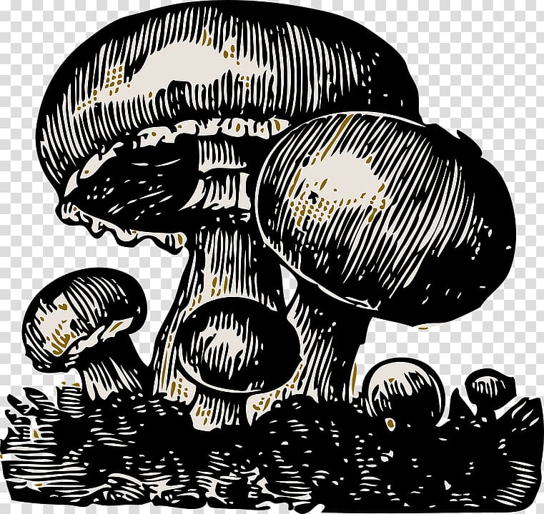 Common mushroom Edible mushroom , mushroom,sketch,Black and white transparent background PNG clipart