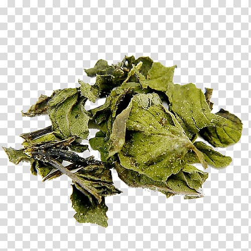 Peppermint Bancha Oolong Leaf vegetable, pepermint transparent background PNG clipart
