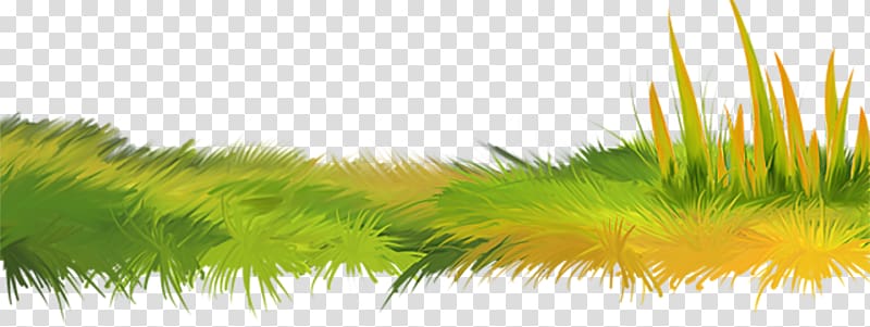 Herbaceous plant , Green grass transparent background PNG clipart