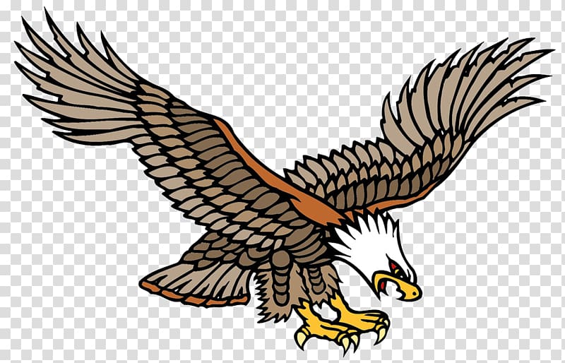 Old school (tattoo) Bald Eagle Tattoo artist, Flying the sea carving computer painting transparent background PNG clipart