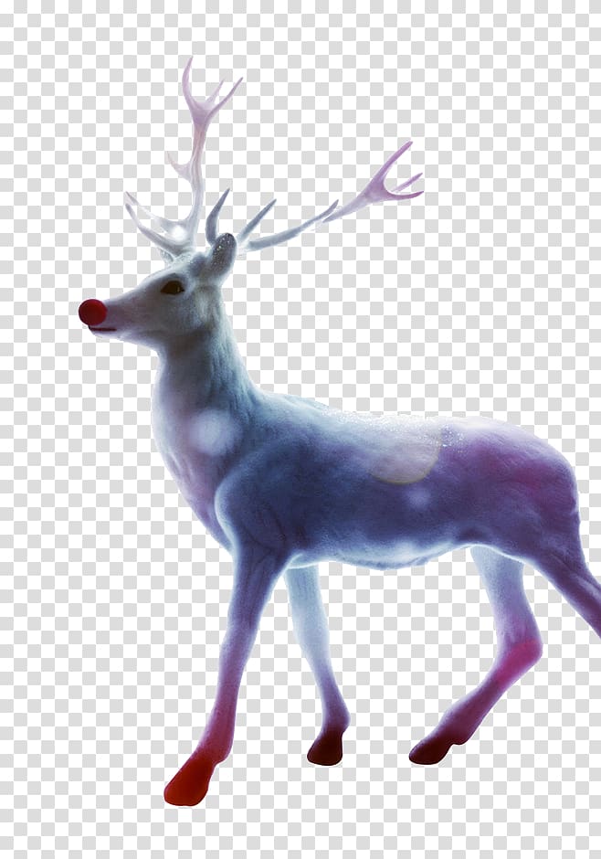 Santa Clauss reindeer Christmas Gift, deer transparent background PNG clipart