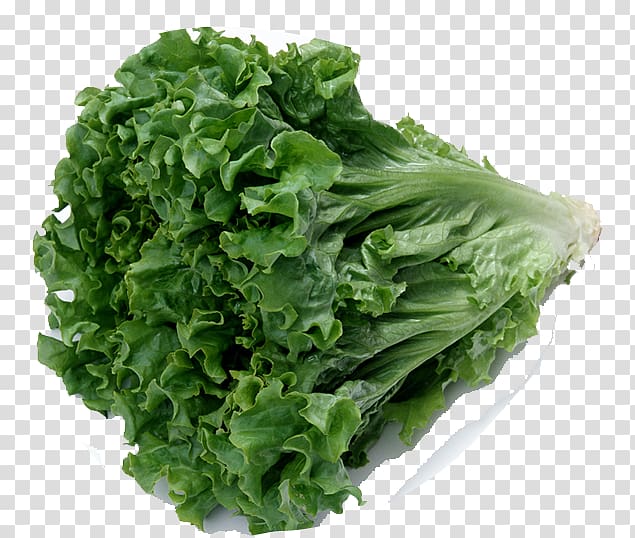 Celtuce Chinese cuisine Organic food Leaf vegetable Romaine lettuce, green vegetables transparent background PNG clipart