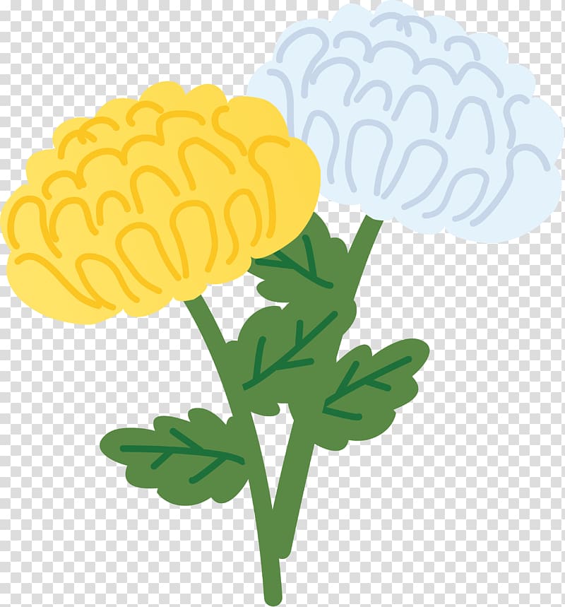 Higan Chrysanthemum ×grandiflorum 法要 Flower 年忌, flower transparent background PNG clipart