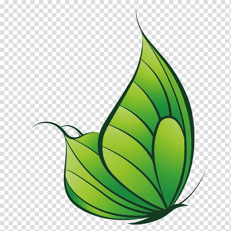 Butterfly, Green leaf butterfly decoration transparent background PNG clipart