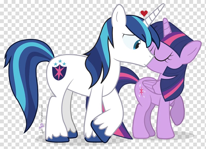 Twilight Sparkle Princess Cadance Rainbow Dash Flash Sentry Pinkie Pie, others transparent background PNG clipart