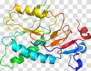 Line Point Organism , line transparent background PNG clipart thumbnail