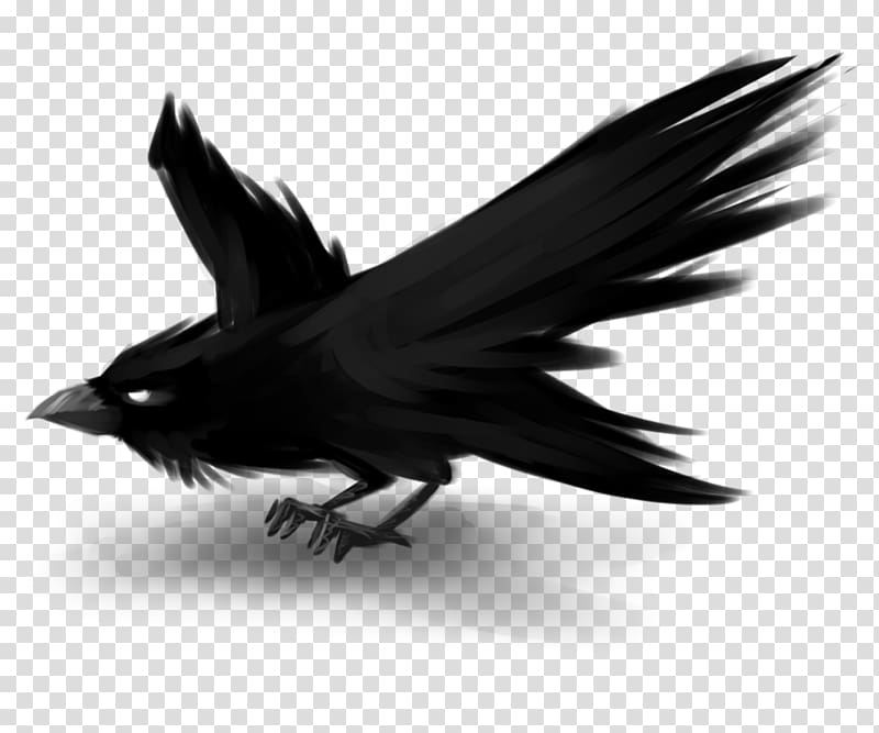 Avatar Digital art Drawing, raven transparent background PNG clipart