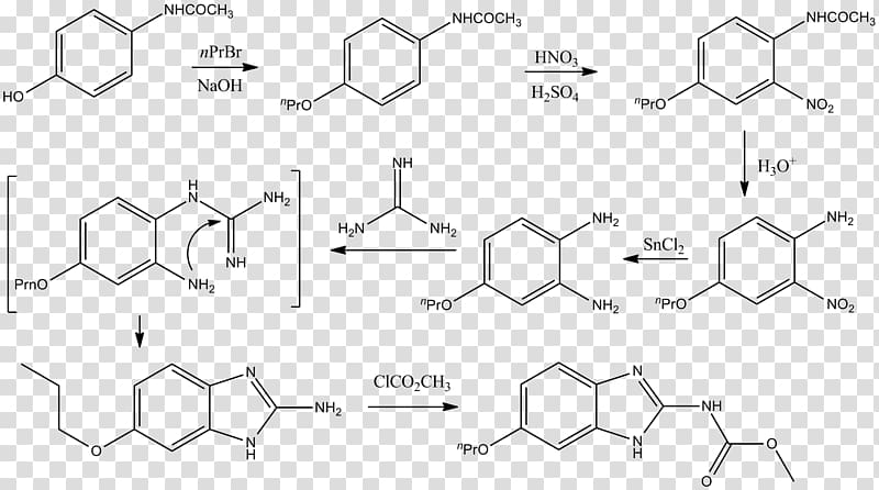 Crinum latifolium Gas chromatography–mass spectrometry Alkaloid, scheme transparent background PNG clipart