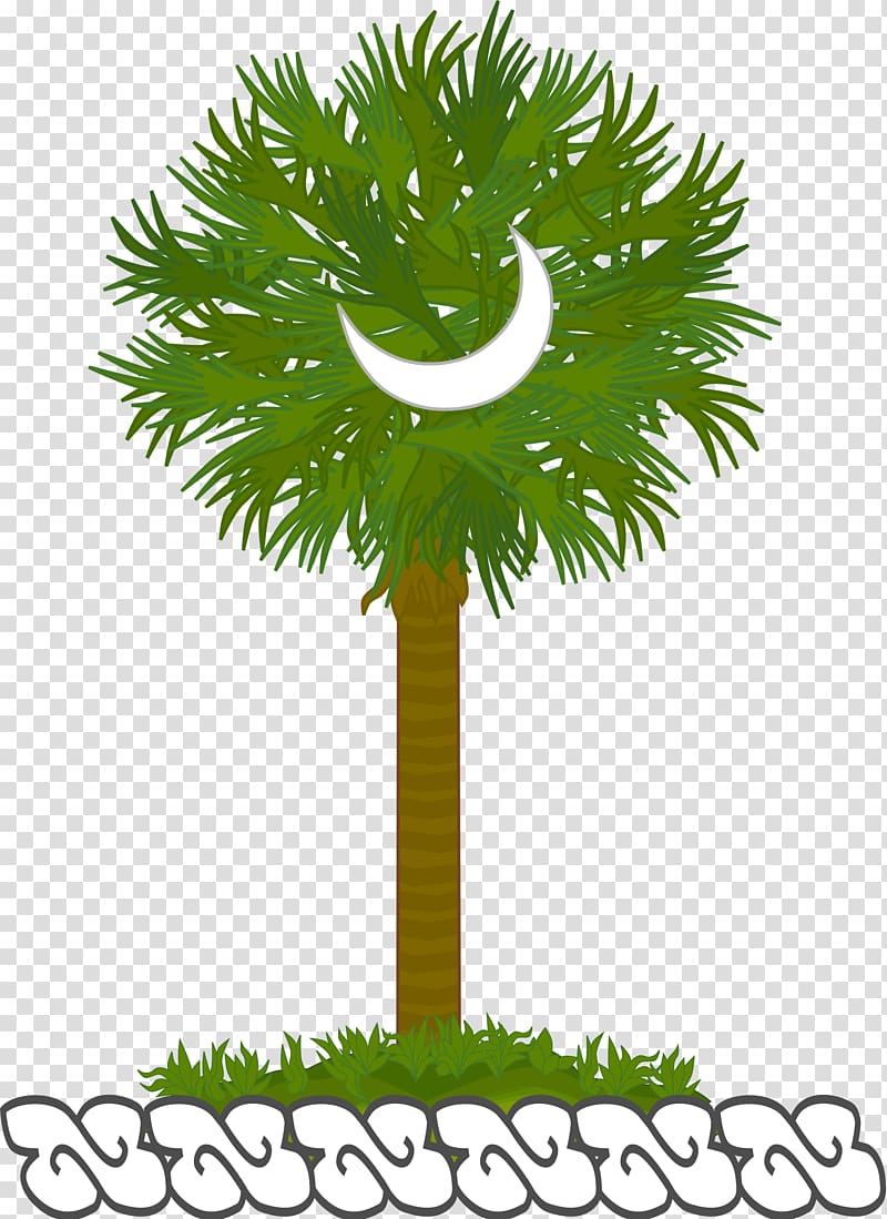 Asian palmyra palm Date palm Leaf Flowerpot, date palm transparent background PNG clipart