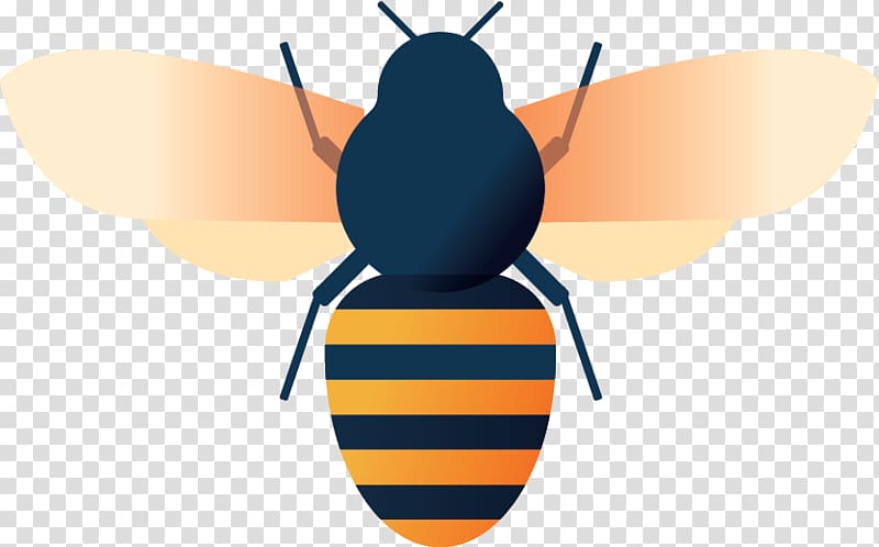 Honey bee , Bee Venom transparent background PNG clipart